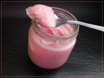 Danoninos caseros receta