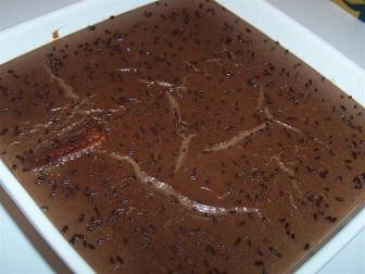 Natillas de chocolate receta