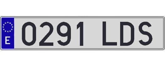 0291LDS matricula larga