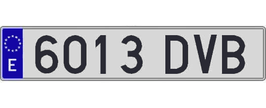 6013DVB matricula larga