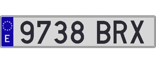 9738BRX matricula larga
