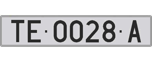 TE0028A matricula larga