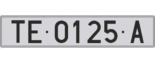TE0125A matricula larga