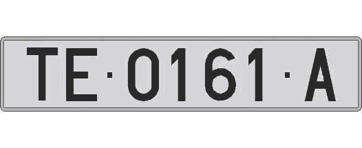 TE0161A matricula larga