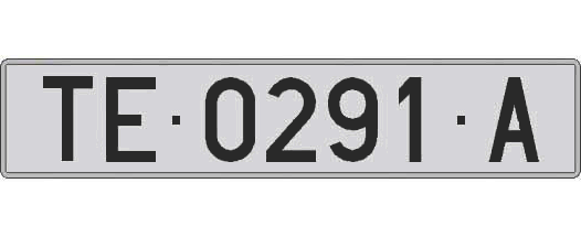 TE0291A matricula larga