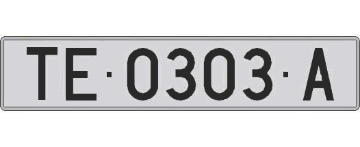 TE0303A matricula larga