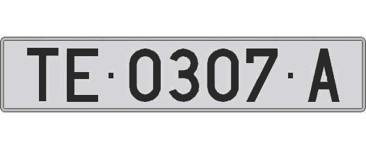 TE0307A matricula larga