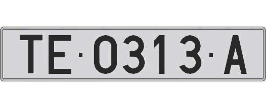 TE0313A matricula larga