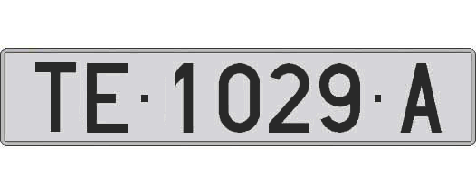TE1029A matricula larga