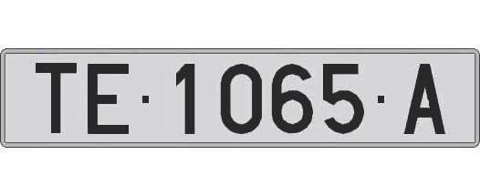TE1065A matricula larga