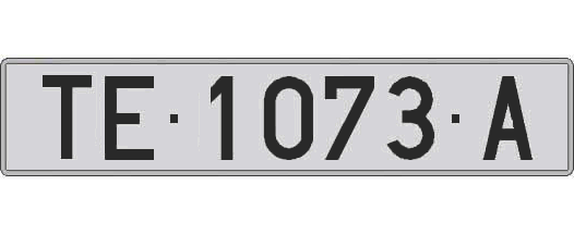 TE1073A matricula larga