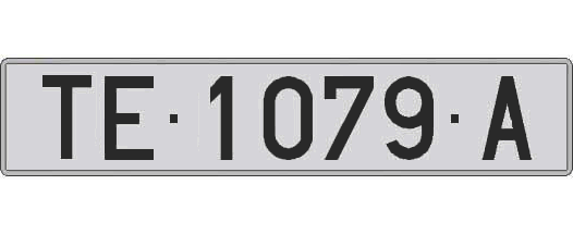 TE1079A matricula larga
