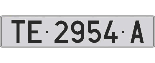 TE2954A matricula larga