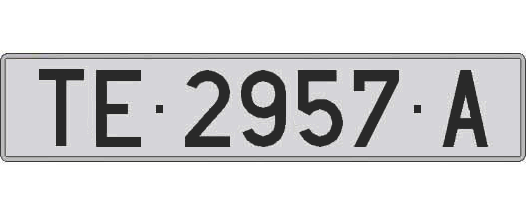 TE2957A matricula larga
