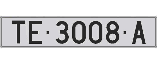 TE3008A matricula larga