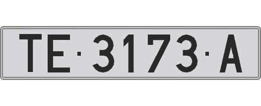 TE3173A matricula larga
