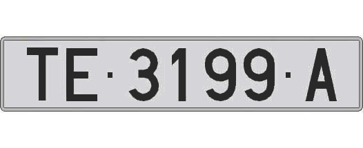 TE3199A matricula larga