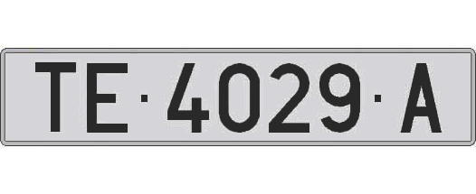 TE4029A matricula larga