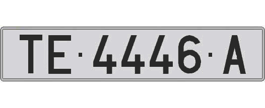 TE4446A matricula larga