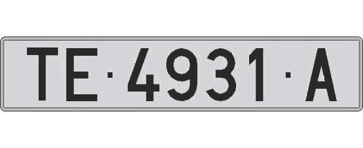 TE4931A matricula larga