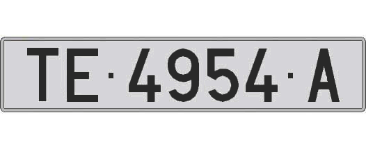 TE4954A matricula larga