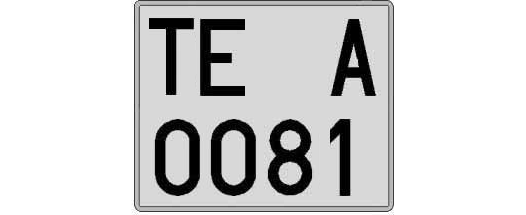 TE0081A matricula cuadrada