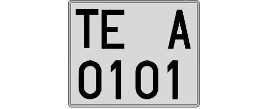 TE0101A matricula cuadrada