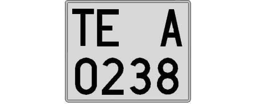 TE0238A matricula cuadrada
