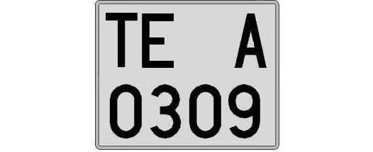 TE0309A matricula cuadrada