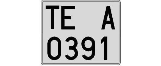 TE0391A matricula cuadrada