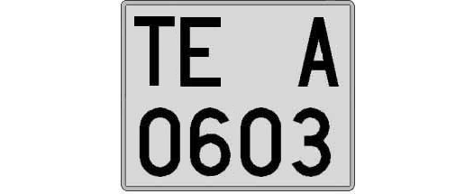 TE0603A matricula cuadrada