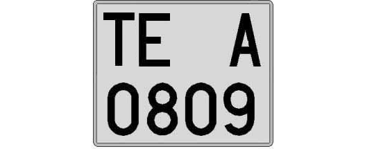 TE0809A matricula cuadrada
