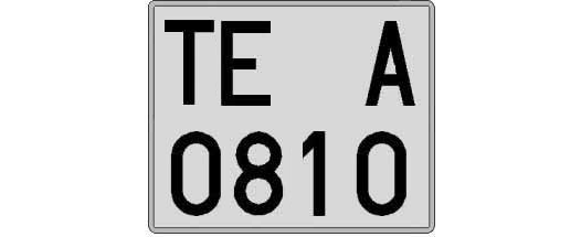 TE0810A matricula cuadrada