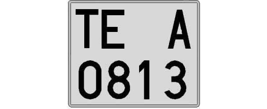TE0813A matricula cuadrada