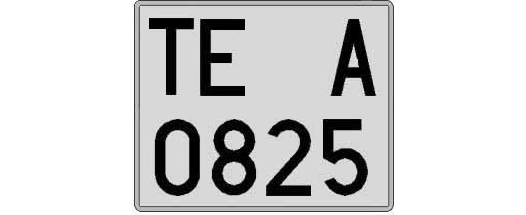 TE0825A matricula cuadrada
