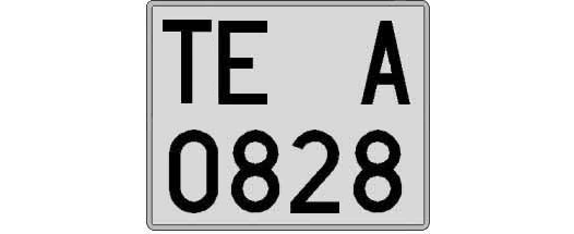TE0828A matricula cuadrada