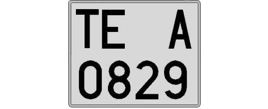 TE0829A matricula cuadrada