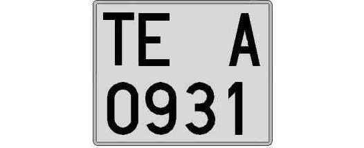 TE0931A matricula cuadrada