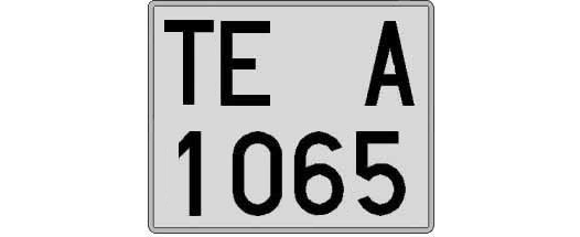 TE1065A matricula cuadrada