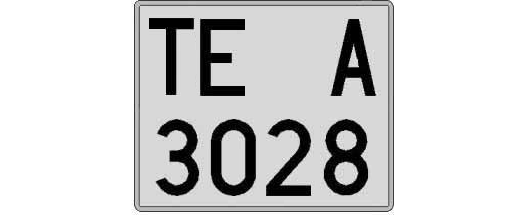TE3028A matricula cuadrada
