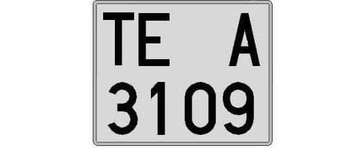 TE3109A matricula cuadrada