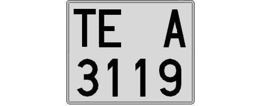 TE3119A matricula cuadrada