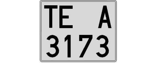 TE3173A matricula cuadrada